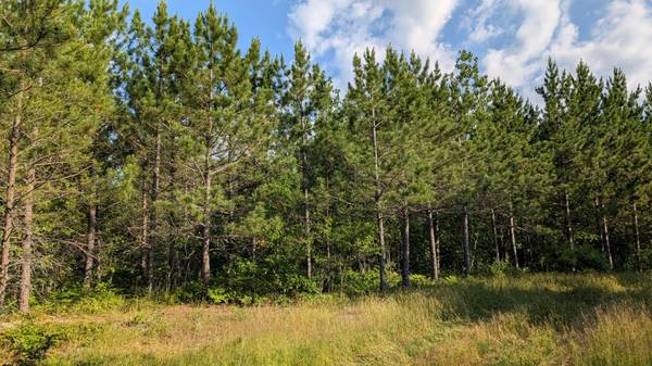 Lot C Hwy. 24, Orr, MN 55771