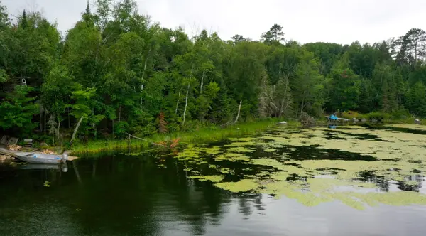TBD Muskego Bay, Cook, MN 55723