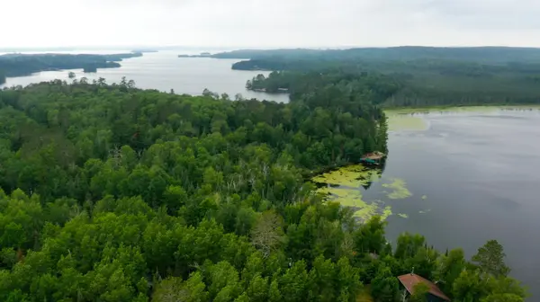 TBD Muskego Bay, Cook, MN 55723