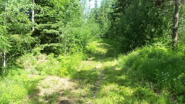 XXX Bashaw Store Rd, Shell Lake, WI 54871