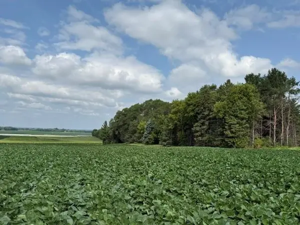 Lot A Lehigh Road, Cottage Grove, MN 55016