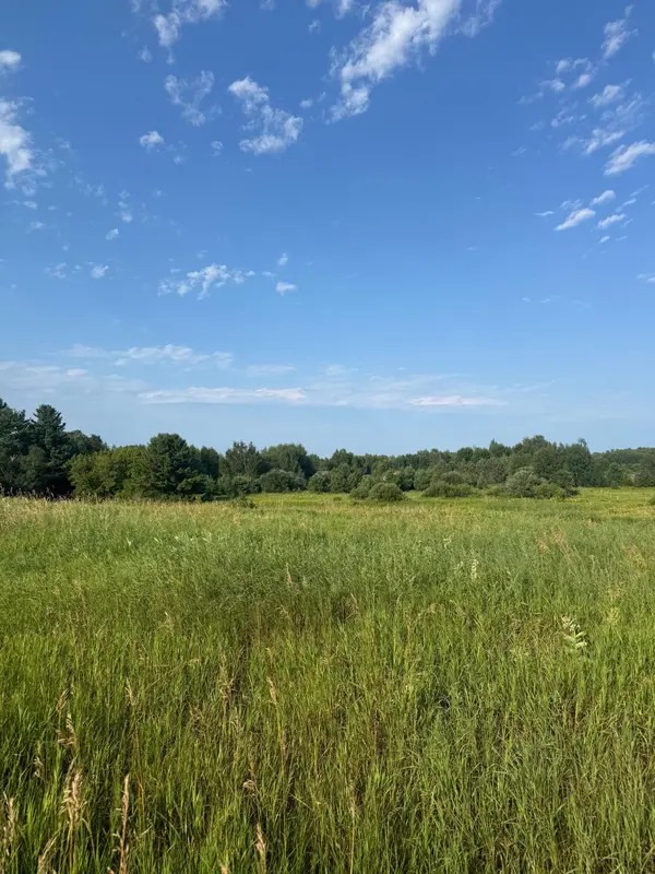 TBD 256th Lane, Aitkin, MN 56431