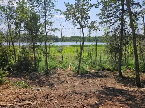 TBD 330th ST, Shevlin, MN 56676