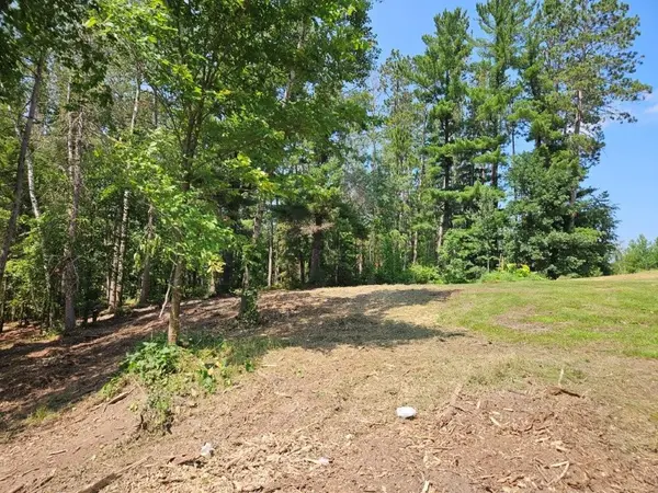 TBD 330th ST, Shevlin, MN 56676
