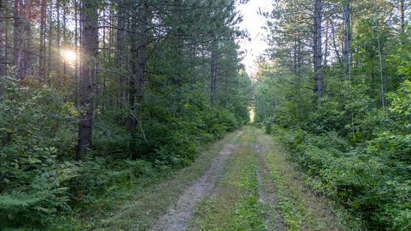 NESW Forest Road 3845 NE, Pennington, MN 56663