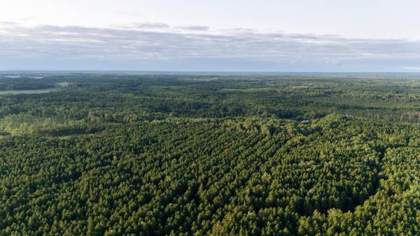 NESW Forest Road 3845 NE, Pennington, MN 56663