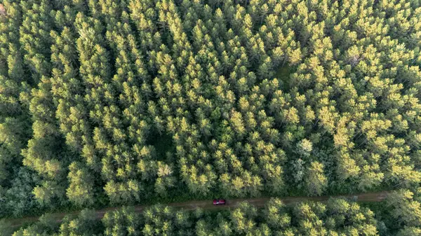 NESW Forest Road 3845 NE, Pennington, MN 56663