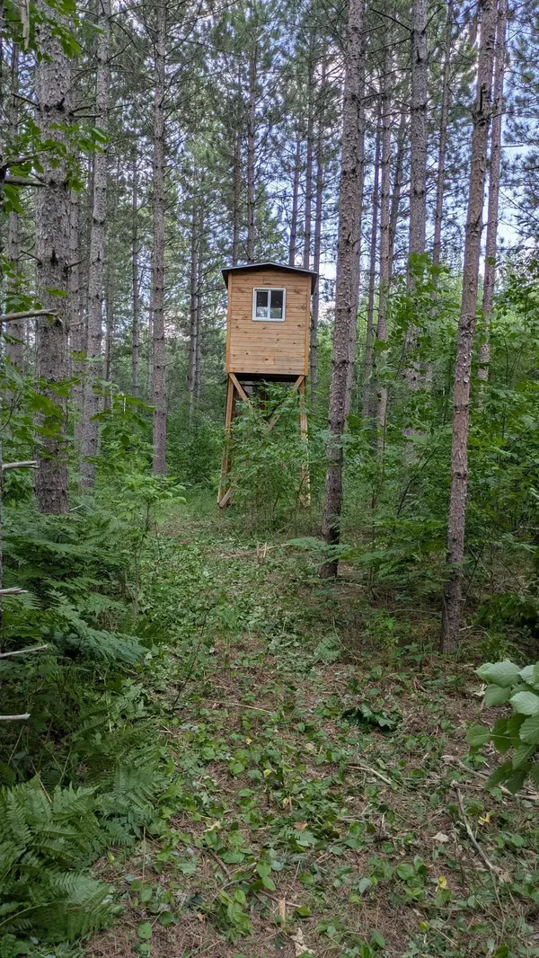 NESW Forest Road 3845 NE, Pennington, MN 56663