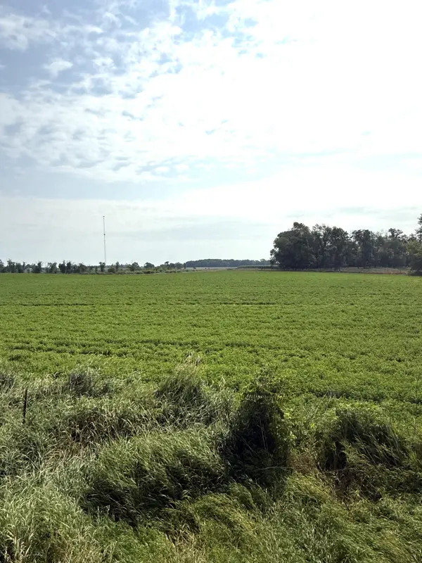TBD County Road 7, Howard Lake, MN 55349