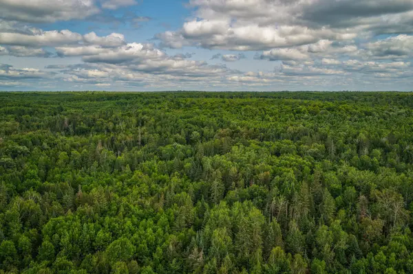 TBD 219th AVE,  Bemidji,  MN 56601