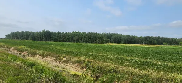 TBD 340th AVE NE, Goodridge, MN 56725