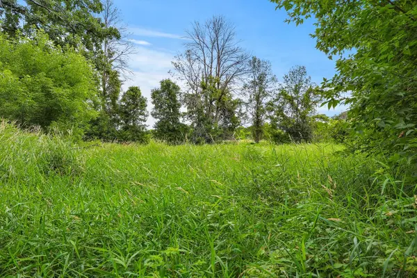 TBD 350th ST, Shafer, MN 55074