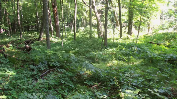 Lot 2 Howard Johnson Trl, Siren, WI 54872