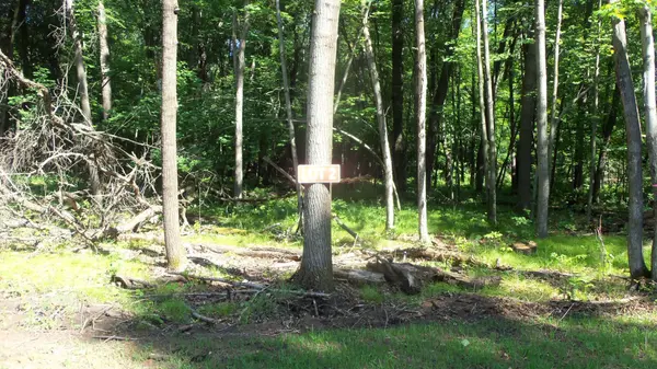 Lot 2 Howard Johnson Trl, Siren, WI 54872