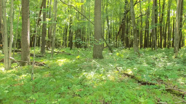 Lot 6 Howard Johnson Trl, Siren, WI 54872