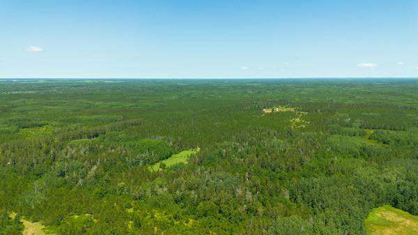 Tract 3 - TBD 259th Ave, Menahga, MN 56464