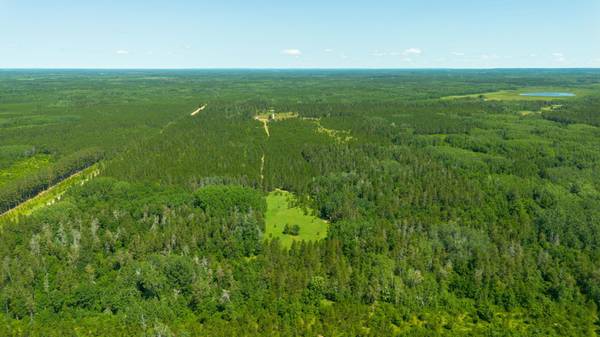 Tract 3 - TBD 259th Ave, Menahga, MN 56464