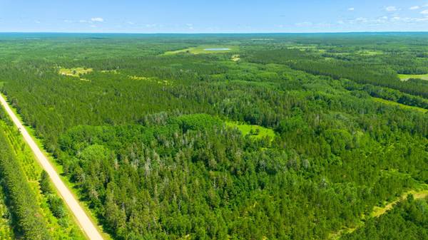 Tract 3 - TBD 259th Ave, Menahga, MN 56464