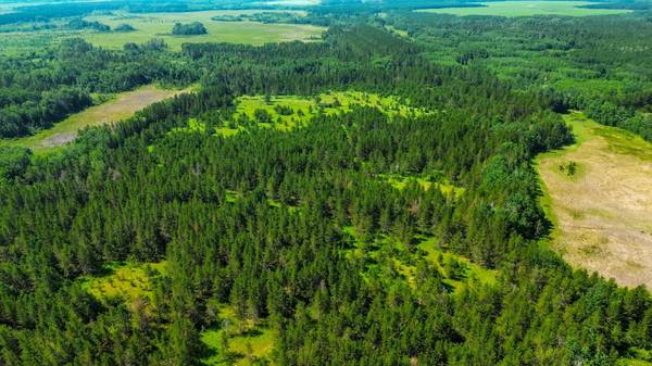 Tract 1 - TBD Hubbard Line Rd, Menahga, MN 56464
