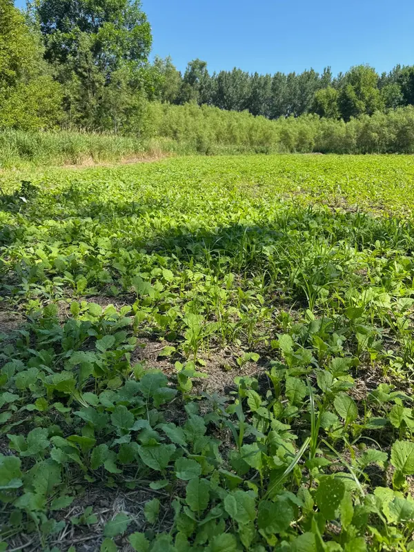 TBD US HWY 169, Le Sueur, MN 56058