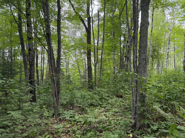 TBD Shady Pine RD, Bruno, MN 55712