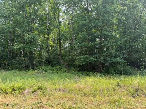 TBD Shady Pine RD, Bruno, MN 55712
