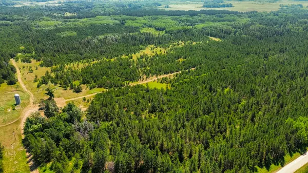 Tract 2 - 39794 259th Ave, Menahga, MN 56464