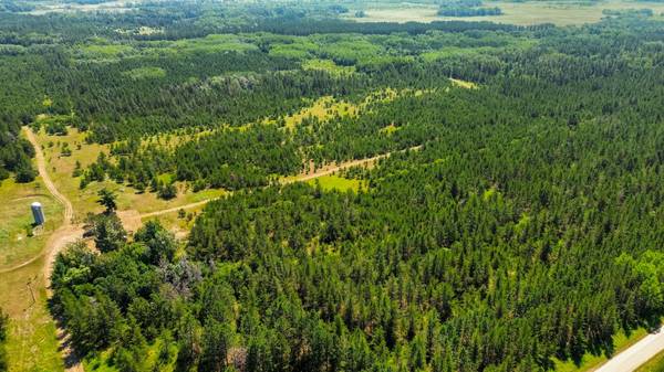 Tract 2 - 39794 259th Ave, Menahga, MN 56464