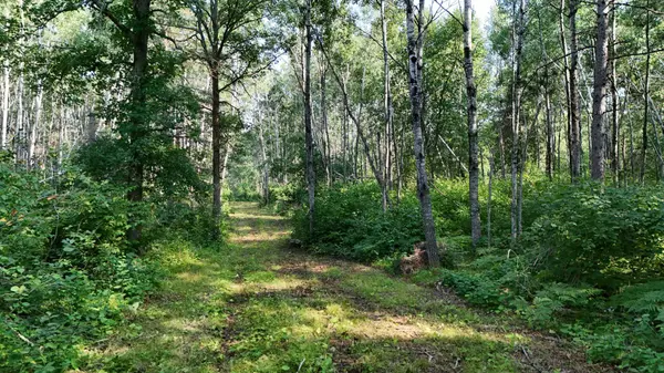 TBD Fredenburg Rd SW, Solway, MN 56678