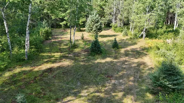 TBD Fredenburg Rd SW, Solway, MN 56678
