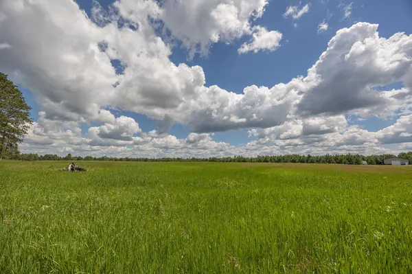 4728 Sioux Camp RD NE, Longville, MN 56655