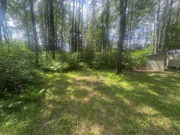 TBD1.2 Orr Buyck Road RD, Buyck, MN 55771
