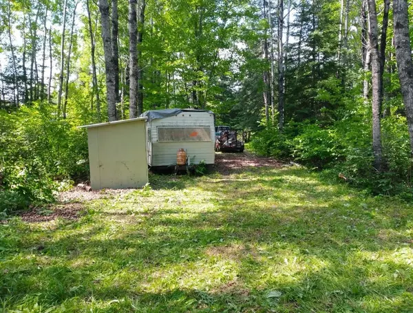 TBD1.2 Orr Buyck Road RD, Buyck, MN 55771