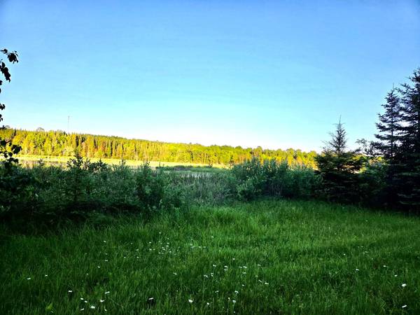 TBD 190th ST, Bagley, MN 56621