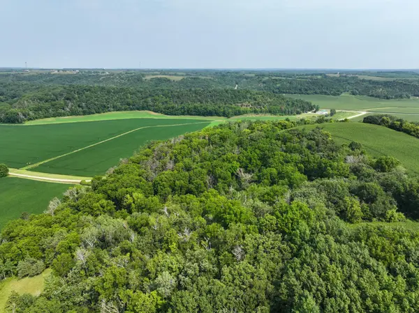 tbd County 45 BLVD, Red Wing, MN 55066