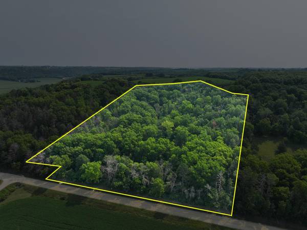 tbd County 45 BLVD, Red Wing, MN 55066