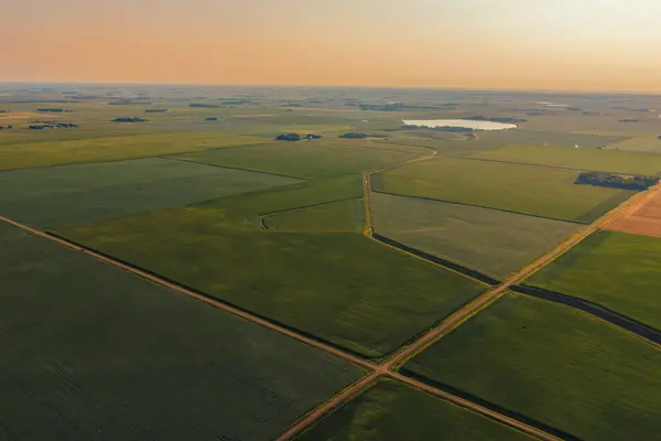 TBD 250th ST, Alberta, MN 56207