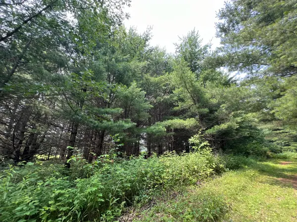 xxxxx Lily Lake Inn RD, Webster, WI 54893