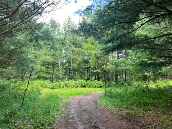 xxxxx Lily Lake Inn RD, Webster, WI 54893