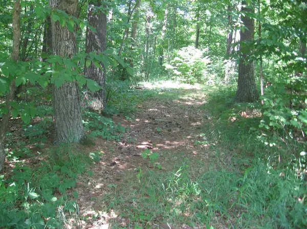 TBD County 5 NW, Hackensack, MN 56452