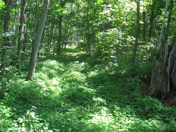 TBD County 5 NW, Hackensack, MN 56452