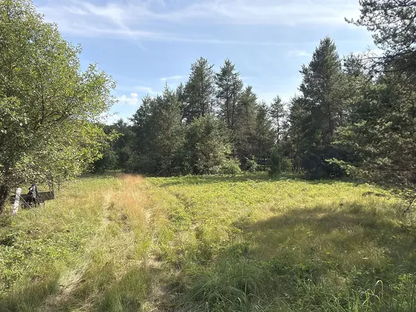 S13160 Camp RD, Fairchild, WI 54741