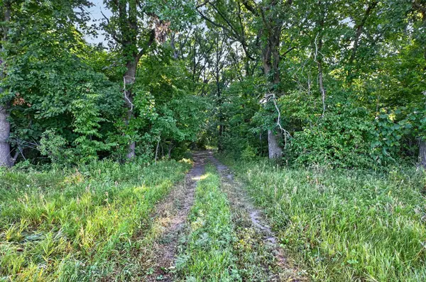 TBD Johnson RD NE, Nelson, MN 56355