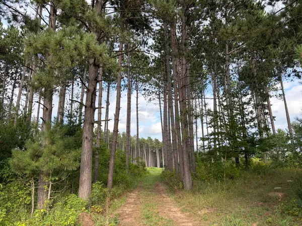 (Lot 4) TBD Tulip ST NW, Stanchfield, MN 55080