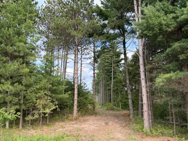 (Lot 5) TBD Tulip ST NW, Stanchfield, MN 55080