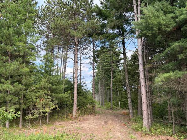 (Lot 5) TBD Tulip ST NW, Stanchfield, MN 55080