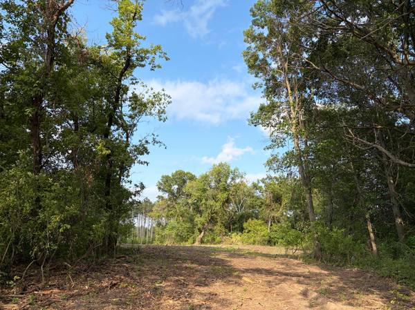 (Lot 7) TBD Tulip ST NW, Stanchfield, MN 55080
