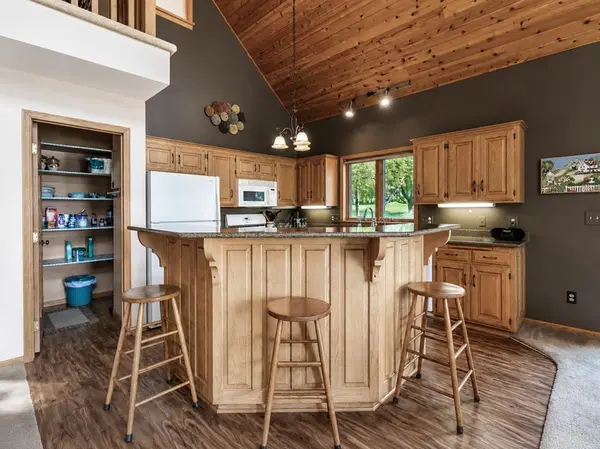41748 E Shore DR, Kilkenny, MN 56052