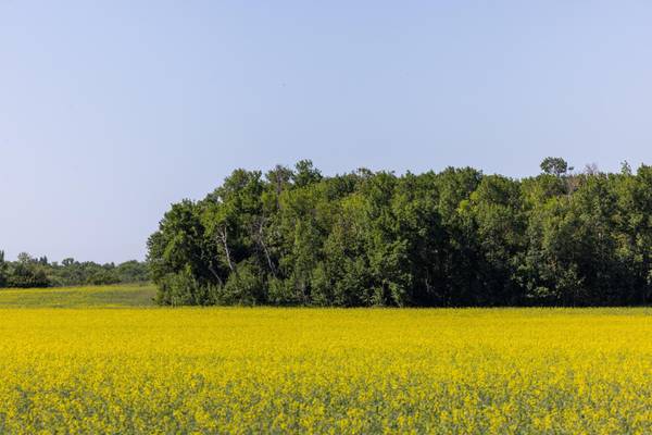 TBD Lake RD, Bottineau, ND 58318
