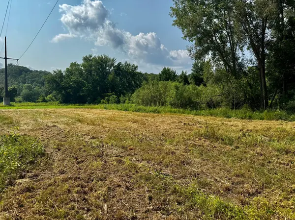 TBD Grove ST, Le Sueur, MN 56058